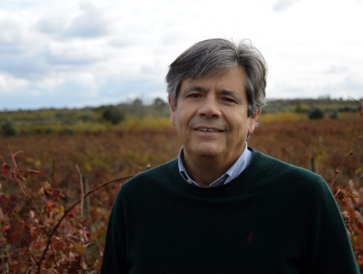 João Póvoa